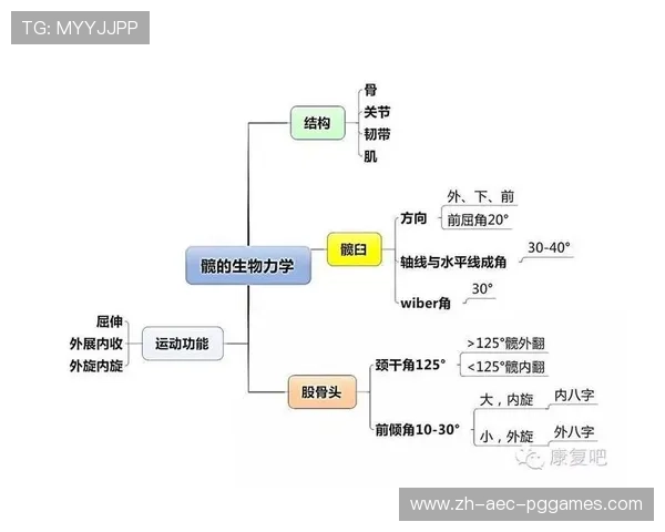 运动医学视角：专业足球鞋垫的生物力学设计突破
